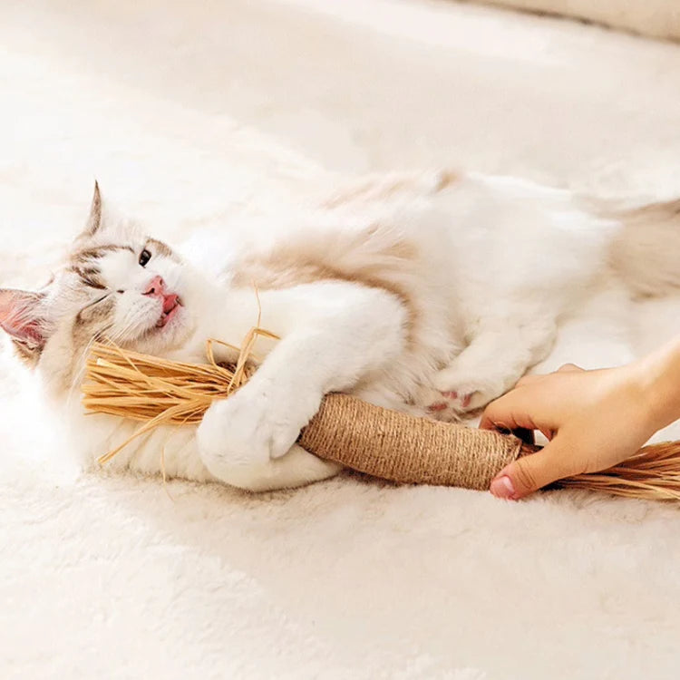 Tierchen-Liebe - Kaustab für Katzen